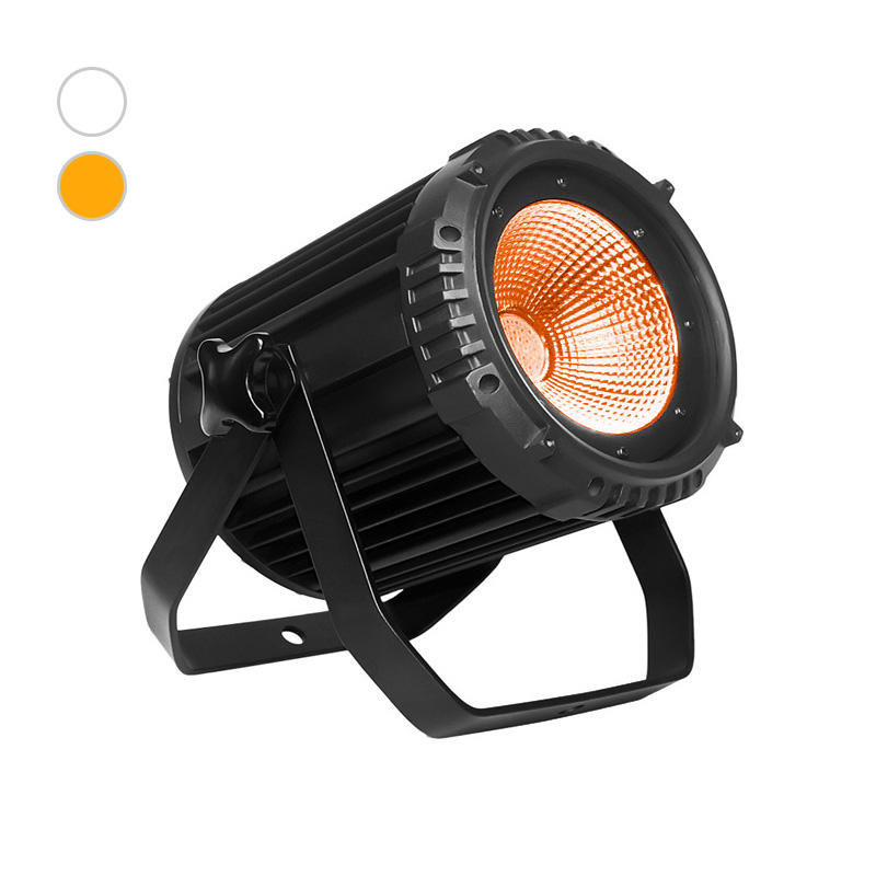 Stage Lighting Fixtures 100CWS 100W 5600K Cold